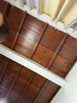 emiss  online show from 03.05.26