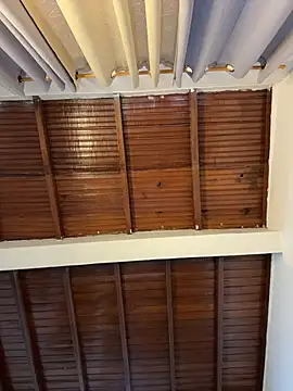 emiss  online show from 04.16.26