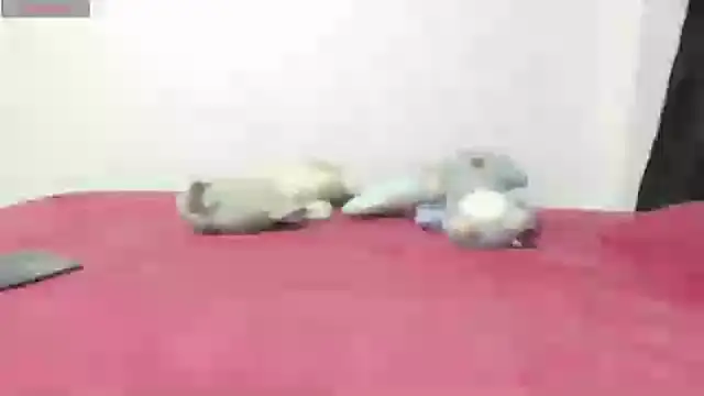 Snapshot of Mayte_sexy chatting on 02.21.25 Mayte sexy online show from 02.21.25