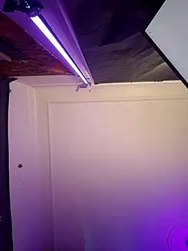 Tony Torrente online show from 03.17.26