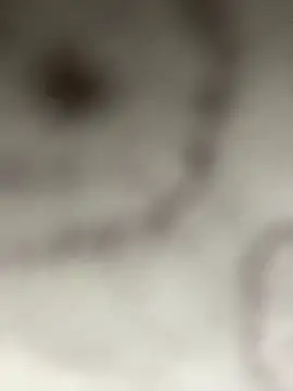 Leyna liu online show from 01.11.25