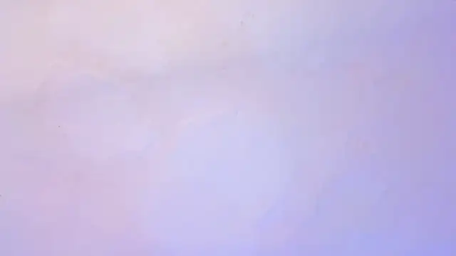 Emily Gil1 online show from 02.19.25