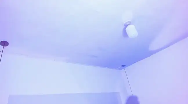 Emily Gil1 online show from 03.19.25