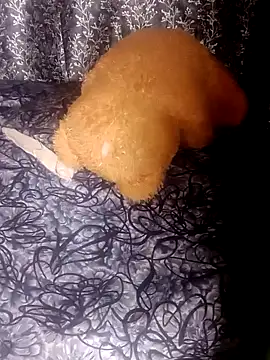 shuhana  online show from 01.21.25