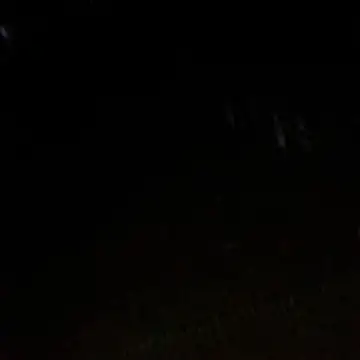 Gifttheskimaskboy online show from 02.12.26