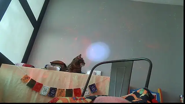 SexWorkerX online show from 02.24.26