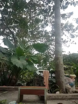 Snapshot of zizi_public chatting on 12.30.24 zizi public online show from 12.30.24