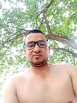 Fabi 1986 online show from 07.11.26