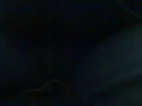 markluvskitty online show from 02.21.25