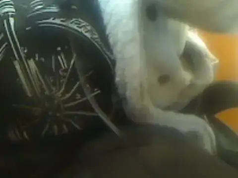 markluvskitty online show from 03.07.25