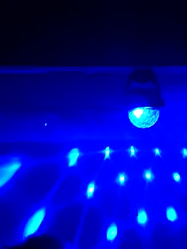 AmazonianMistress online show from 02.16.25