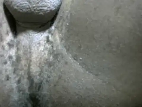 Whitelover online show from 02.24.25