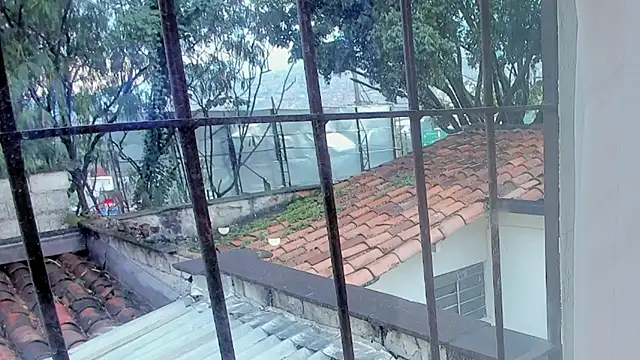 barbara cambels online show from 09.27.25