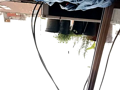 puak6666 online show from 09.29.25