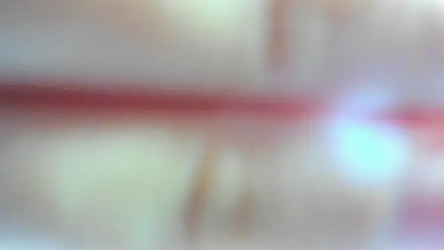 Snapshot of leila_bambi_ chatting on 02.17.26 leila bambi online show from 02.17.26