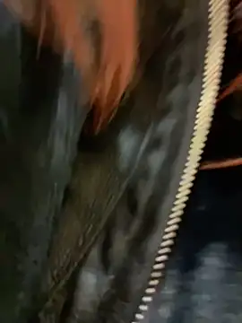 RinaCat online show from 12.24.24