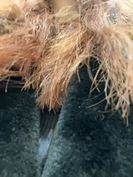 RinaCat online show from 01.09.25