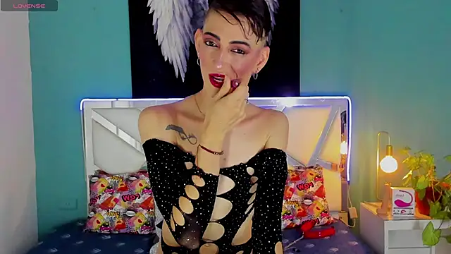 dominic thailor online show from 03.04.25