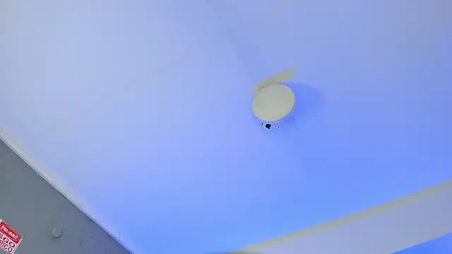 ArigyGomez online show from 11.14.25