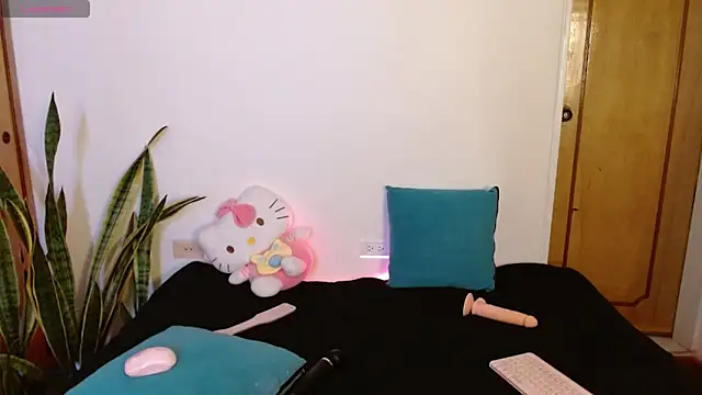 kittycatw online show from 12.17.25