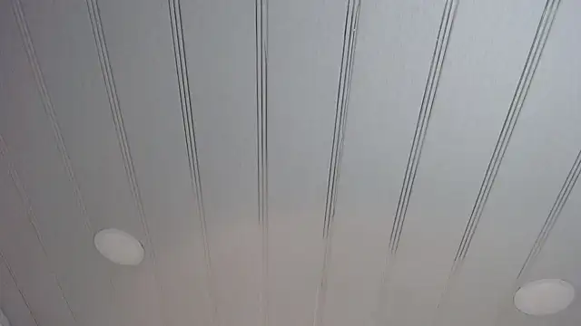 candy lux  online show from 02.24.25