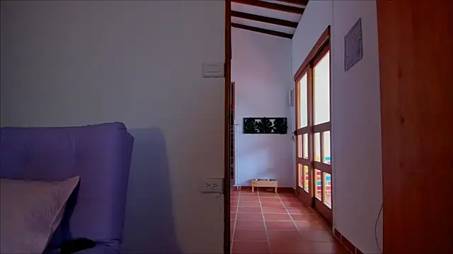 Lauren A online show from 01.17.25