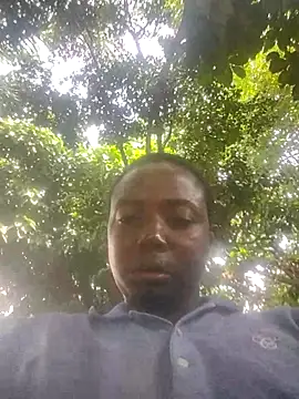 little  joy online show from 03.21.25