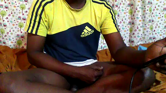 little  joy online show from 02.19.26