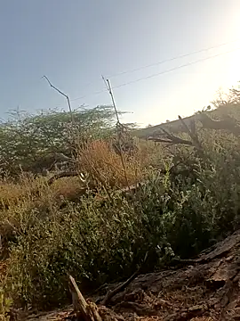 lovesuna online show from 03.05.25