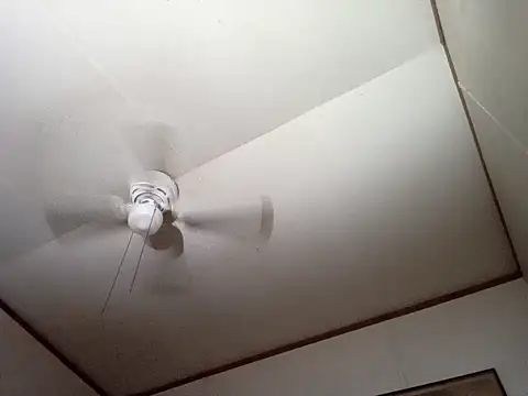 Xoc8  online show from 12.14.25