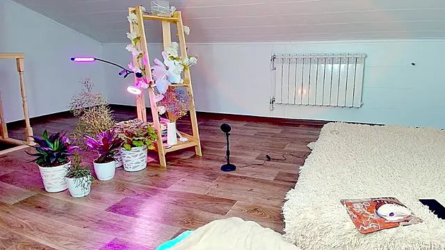 Meowroslava online show from 11.07.25