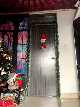 Snapshot of _Artemisa_X chatting on 12.04.24  Artemisa X online show from 12.04.24