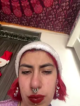 Snapshot of _Artemisa_X chatting on 12.25.24  Artemisa X online show from 12.25.24