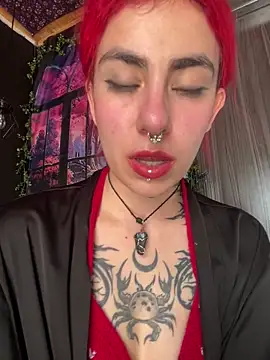 Snapshot of _Artemisa_X chatting on 01.21.25  Artemisa X online show from 01.21.25