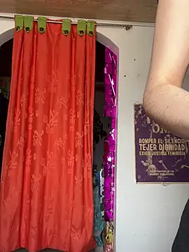 Snapshot of _Artemisa_X chatting on 02.18.25  Artemisa X online show from 02.18.25