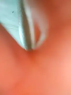 Snapshot of Lien-Yeu chatting on 03.03.25 Lien-Yeu online show from 03.03.25