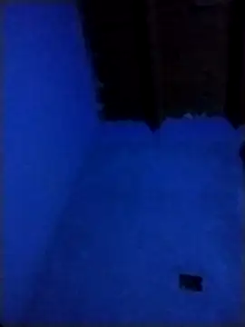 Snapshot of pmalvado912 chatting on 03.28.26 pmalvado912 online show from 03.28.26