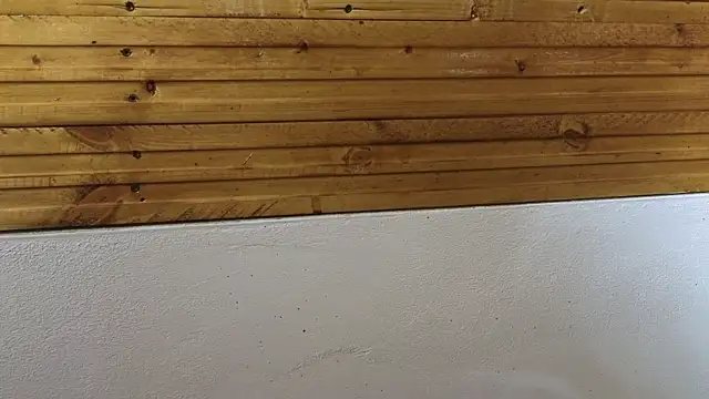 Snapshot of 00loret chatting on 02.20.25 00loret online show from 02.20.25