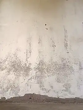 Snapshot of Yasha_14C_Creator chatting on 11.08.25 Yasha 14C Creator online show from 11.08.25