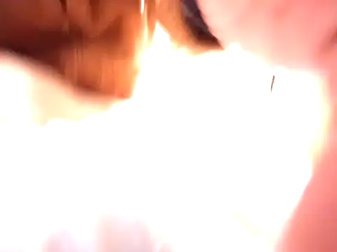 pnp0Japan online show from 12.31.24