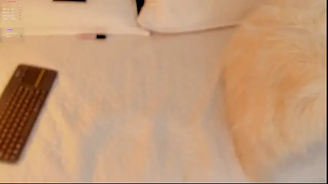 Snapshot of FabianPriince chatting on 01.14.25 FabianPriince online show from 01.14.25