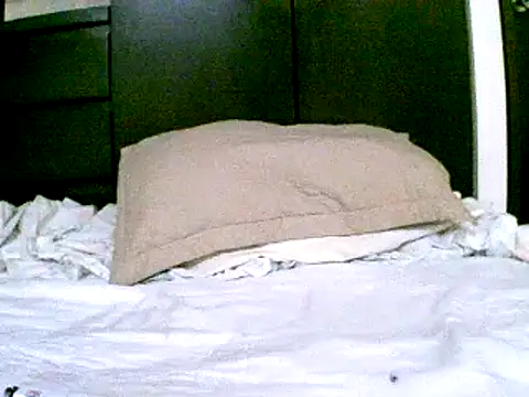 pollarikaaa online show from 12.18.24