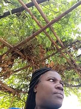 missarpie online show from 01.15.26