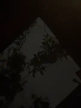 holyeroticss online show from 09.25.25