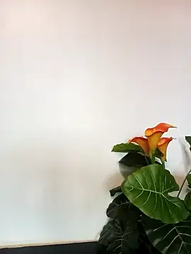 JemaimaPrincess online show from 03.21.25