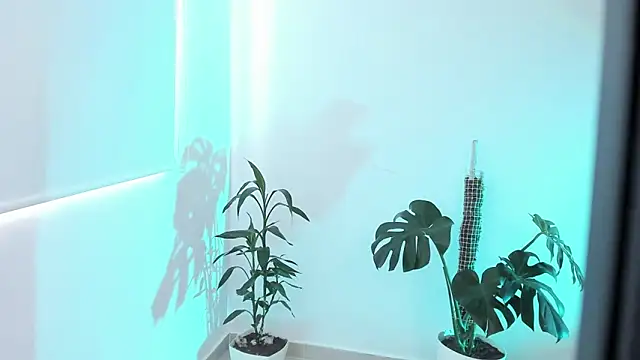 rossth1 online show from 03.20.26