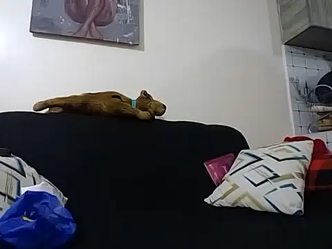 hoely grail01 online show from 12.05.25