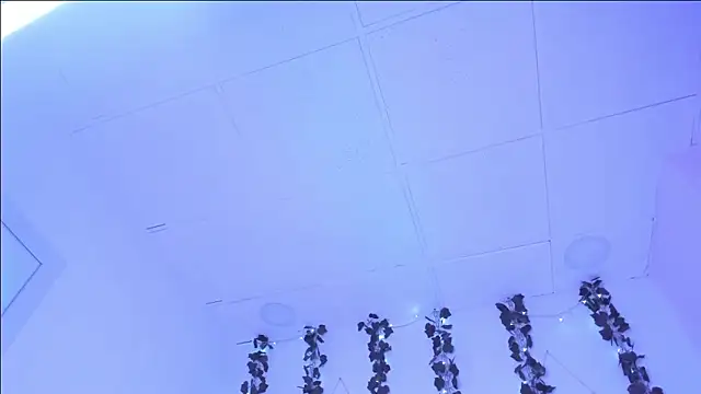 SophieHill gh online show from 01.16.25