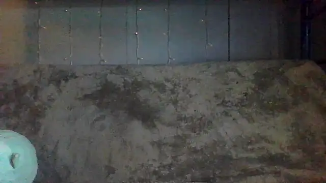 velvetta  online show from 04.09.26