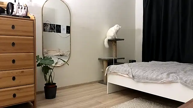 vse horosho online show from 11.13.25